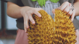 榴蓮剝好肉后，搗成泥狀。