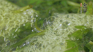 艾草葉放入煮沸的水中，加點食用堿，待變成深綠色時撈出，放入冰水中，瀝干備用。