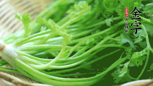 挑選鮮嫩的香菜，洗干凈后，處理成小段。