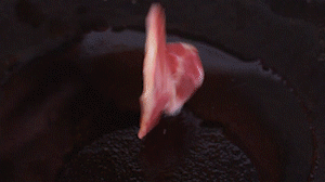 鍋中倒入橄欖油燒熱，放入淡火腿小火煸炒至打卷狀態(tài)。