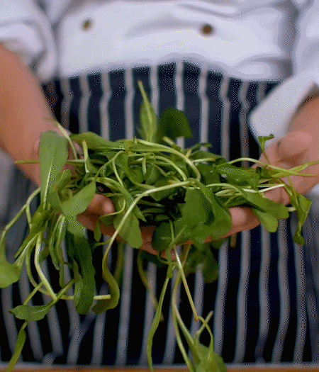 馬蘭頭焯水，切成細末。